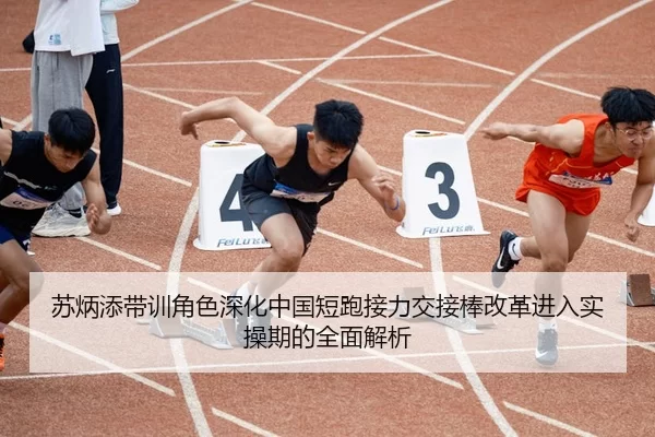 苏炳添带训角色深化中国短跑接力交接棒改革进入实操期的全面解析
