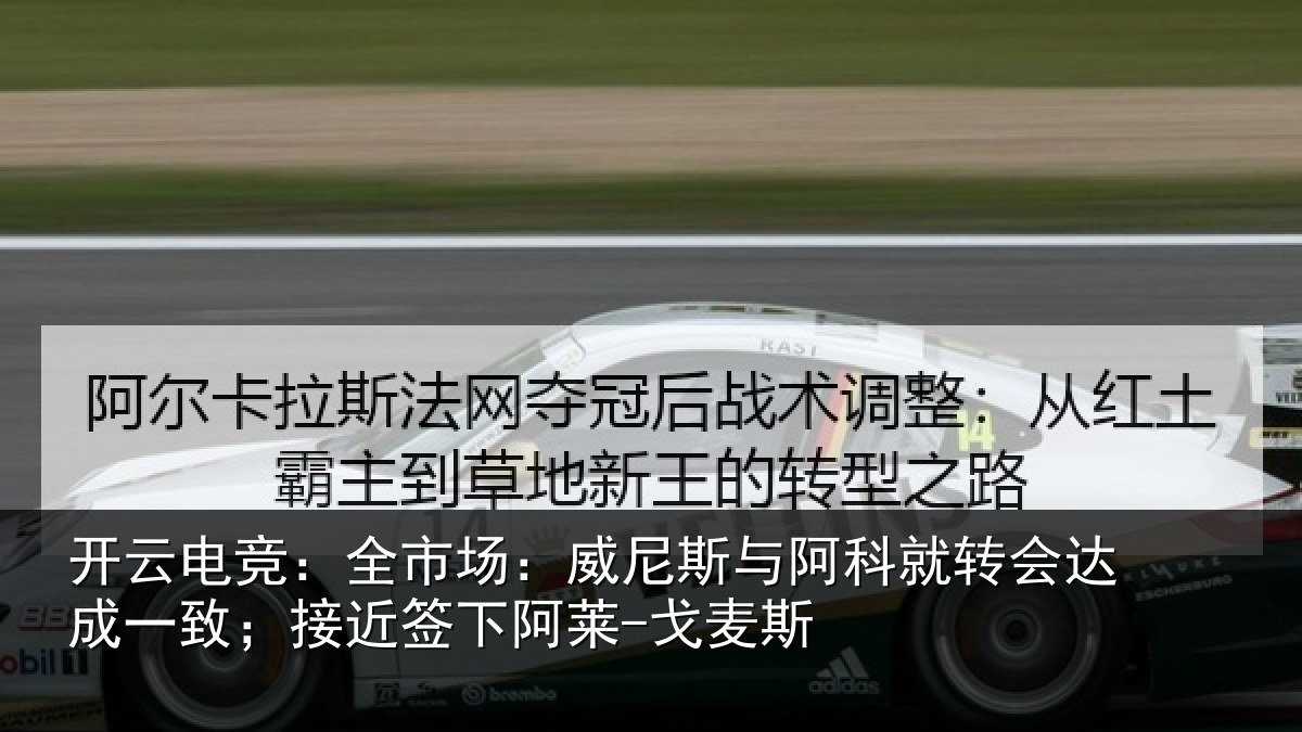 开云电竞:全市相关情况转会相关情况阿莱-戈麦斯