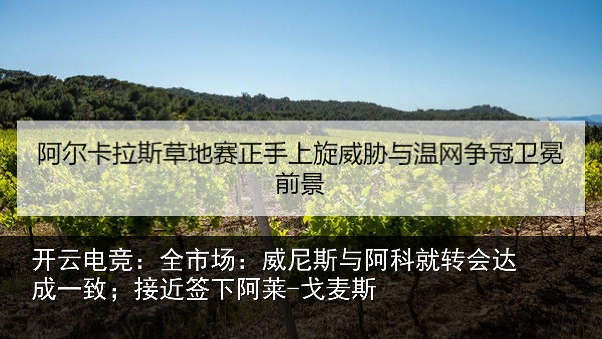 开云电竞:全市场:威尼斯与阿科就转会达成一致;接近签下阿莱-戈麦斯