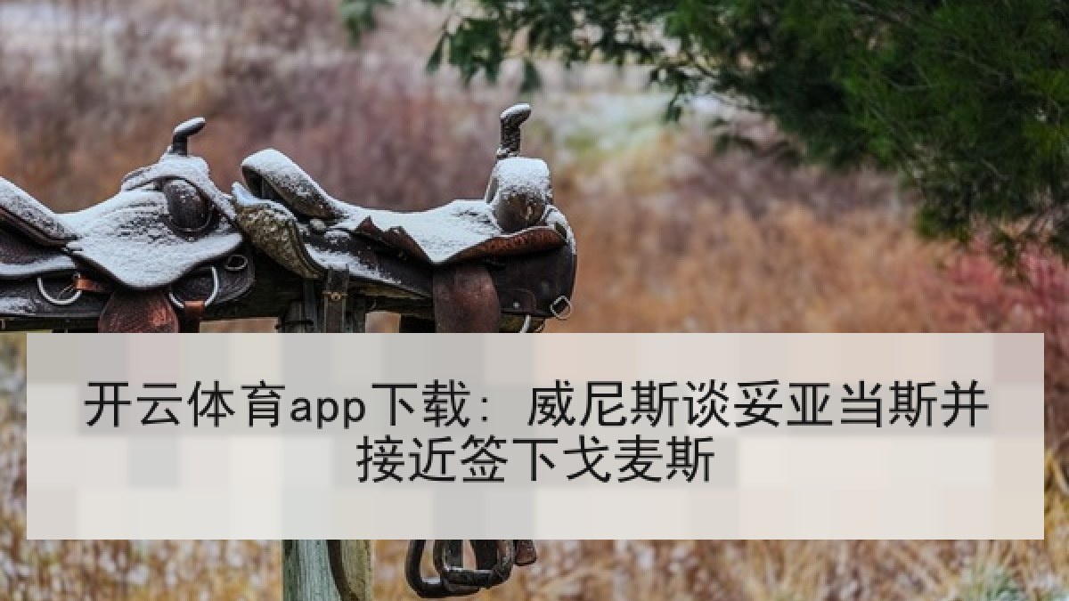 开云体育app下载: 威尼斯谈妥亚当斯并接近签下戈麦斯