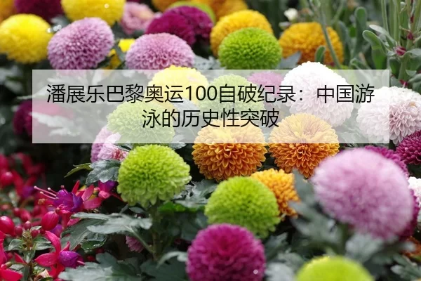 潘展乐巴黎奥运100自破纪录：中国游泳的历史性突破
