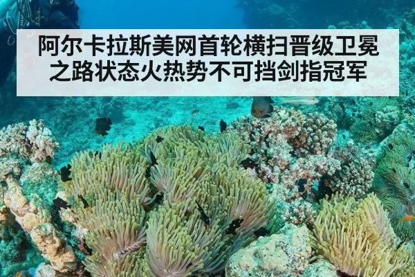 阿尔卡拉斯美网首轮横扫晋级卫冕之路状态火热势不可挡剑指冠军
